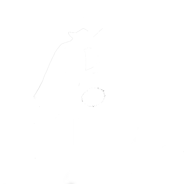 L'escura xemeneies